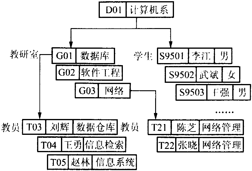 层次数据模型